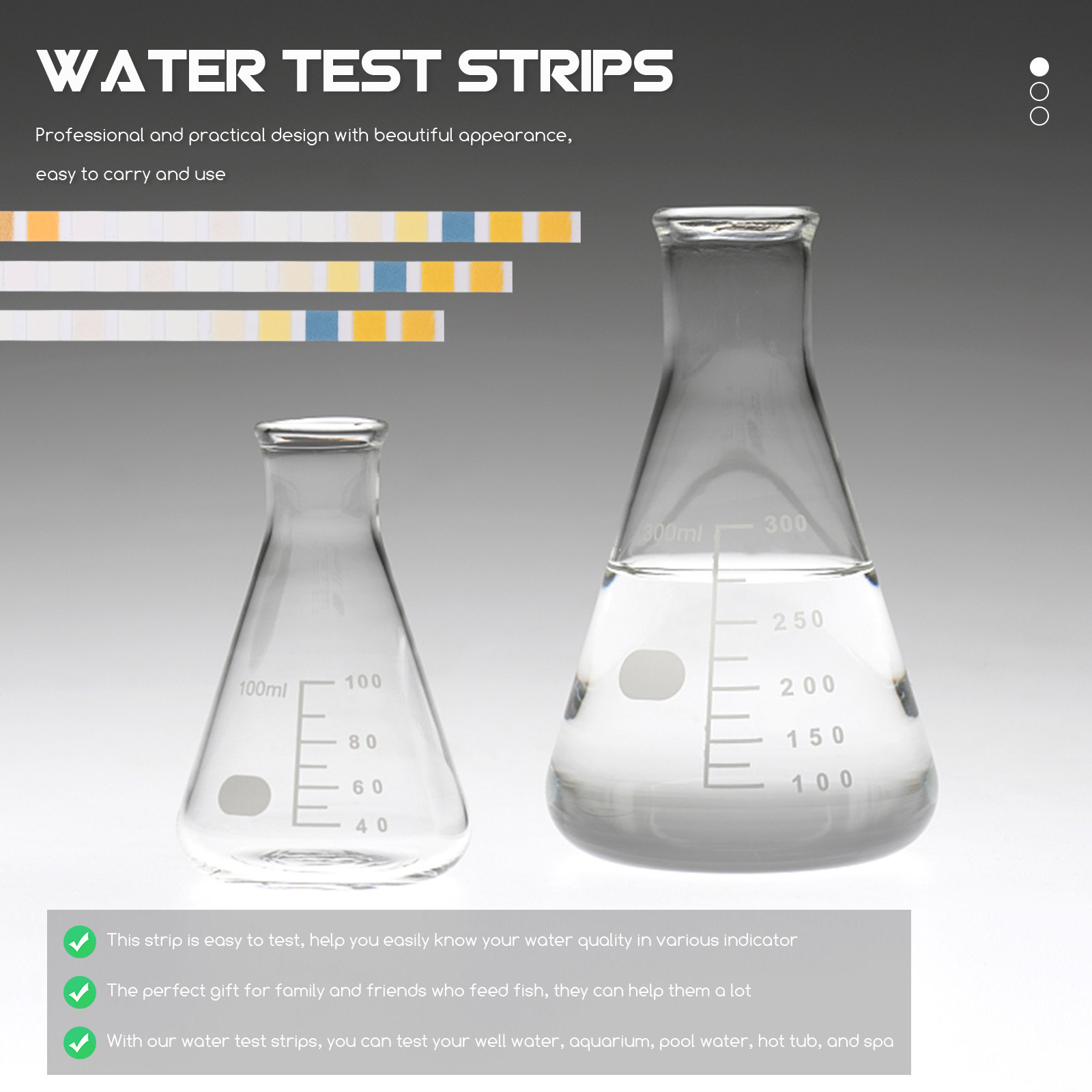 100Pcs Water Test Strips Pool  - Water Testing Kit 리뷰 및 가격