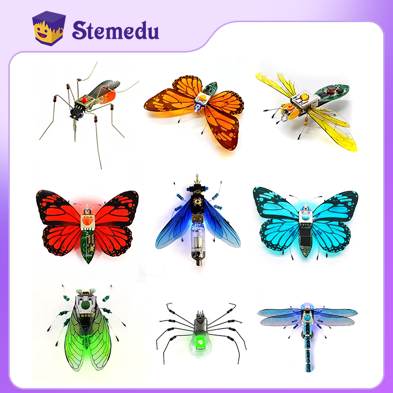 STEAM DIY Toys Robot Insect Sc - Science And Invention 리뷰 및 가격