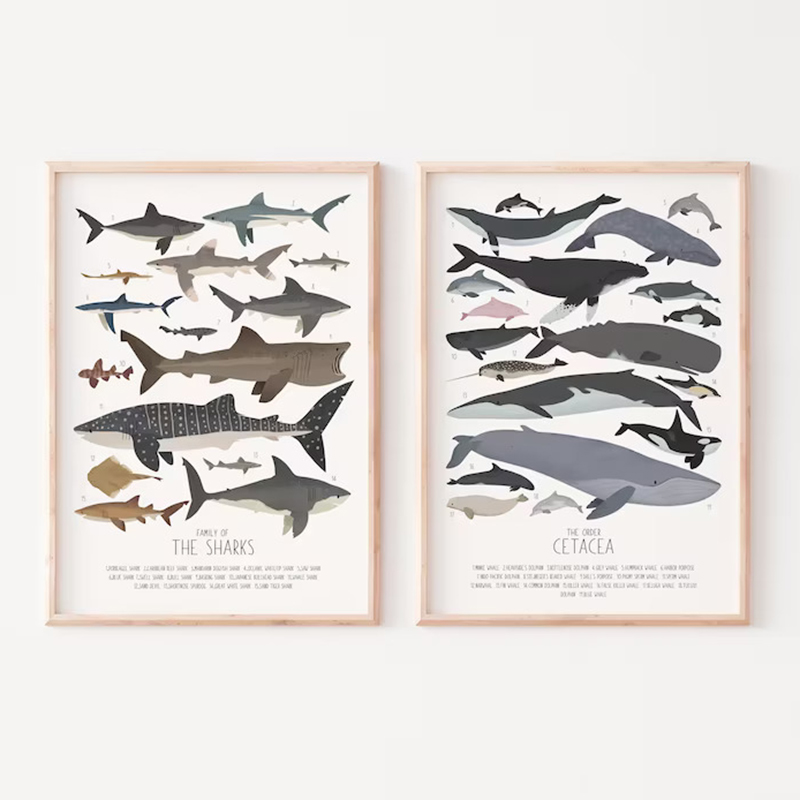 Deep-Sea Fish and Sharks Scien - Science Nursery 리뷰 및 가격